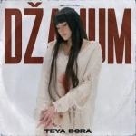 Dzanum